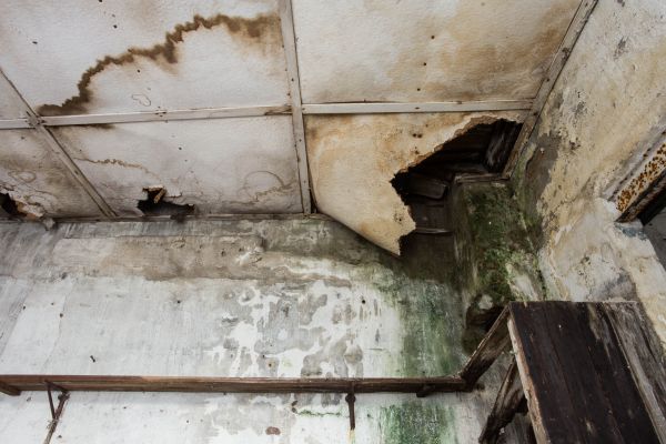Cost of Water Damage Service in Bowie