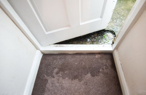 Wet Carpet Restoration in Bowie
