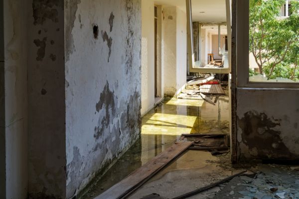 Cost of Water Removal Service in Bowie