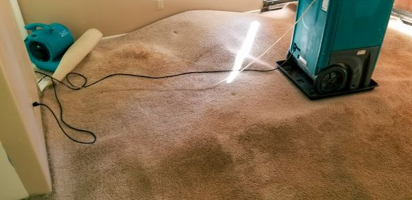 Carpet Water Extraction in Bowie