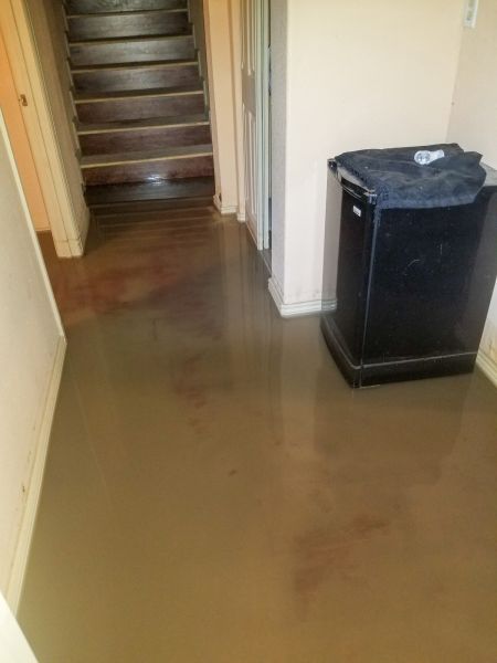 Emergency Water Removal in Bowie