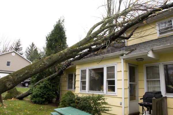 Cost of Hurricane Damage Repair in Bowie
