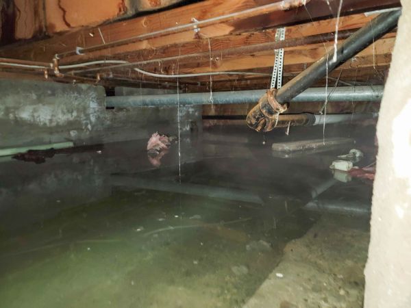 Crawlspace Water Restoration in Bowie